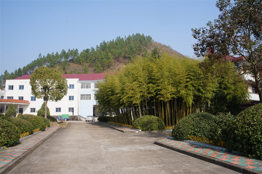 DSC03590 - 副本 (2).JPG